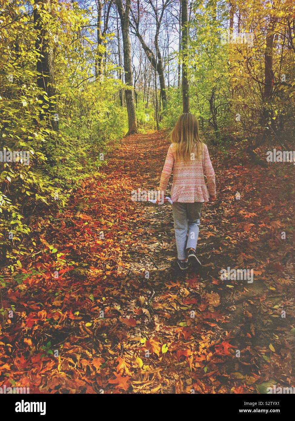 Une fille qui marche à travers les bois sur un chemin de feuilles en automne. Banque D'Images