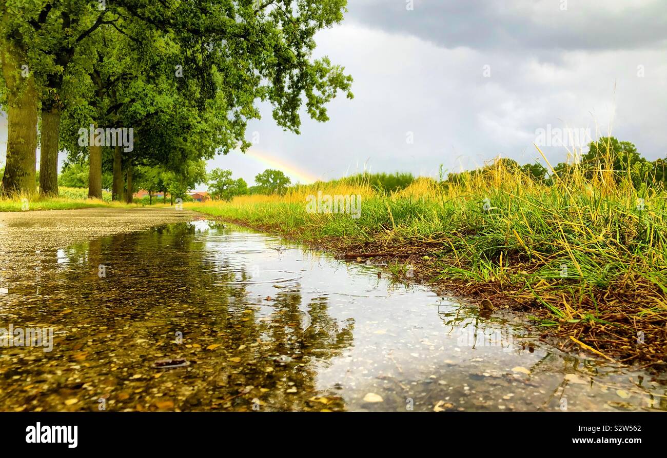 Route bordée d'arbres campagne sous un ciel nuageux gris avec un arc-en-ciel reflétées dans la surface de l'eau d'une flaque d'eau après la pluie. - Image de stock capturée avec un smartphone
