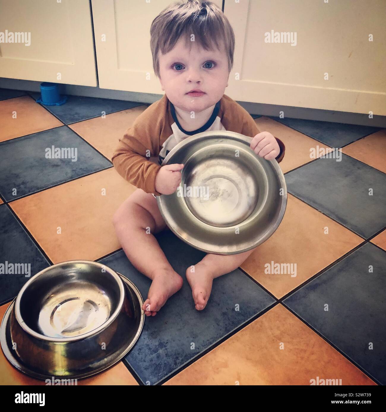 9 mois Garçon jouant avec un chien bols dans la cuisine Banque D'Images