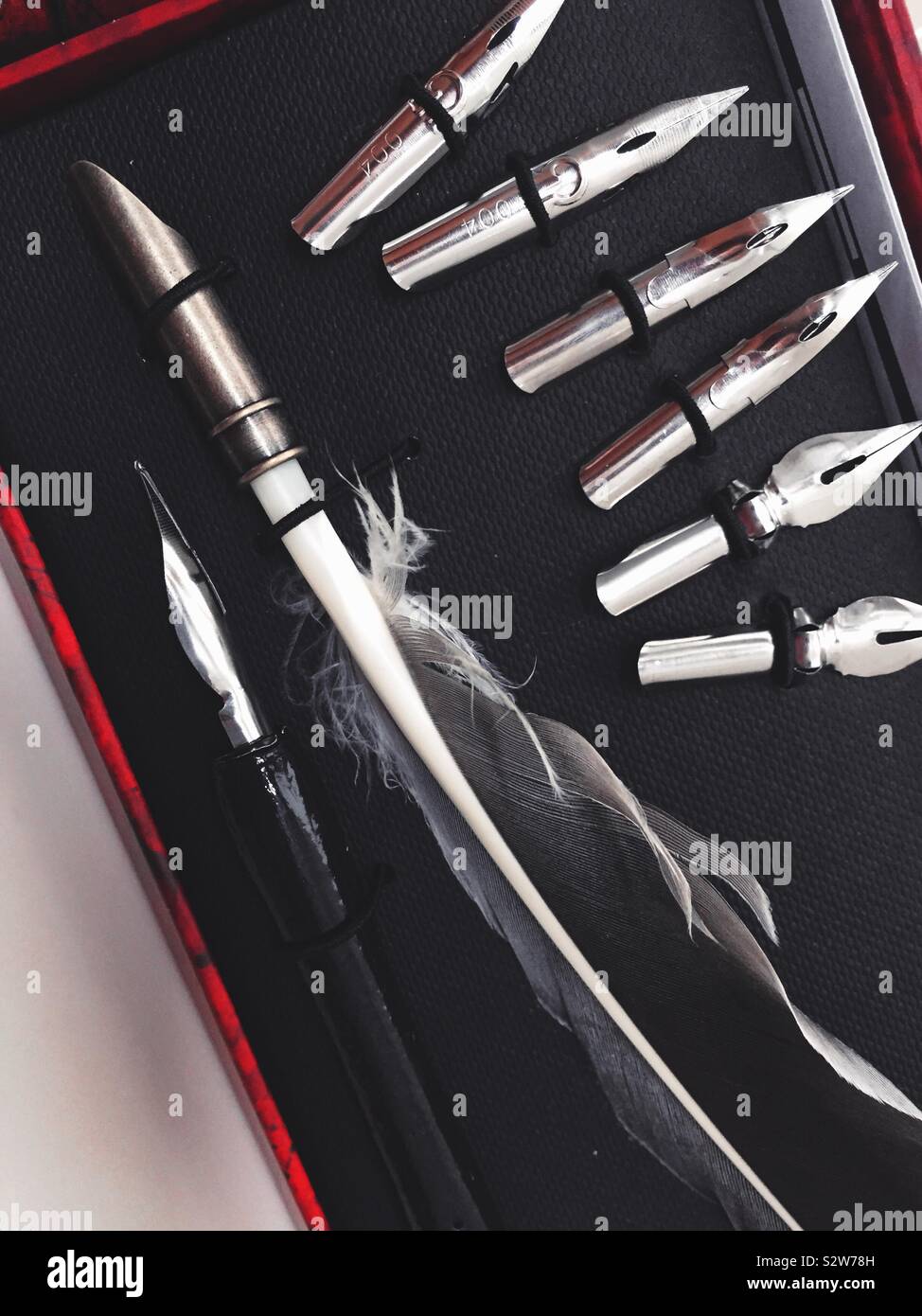 Plumes à écrire et de calligraphie stylo dans une zone pour définir et Close up shot d'en haut Banque D'Images