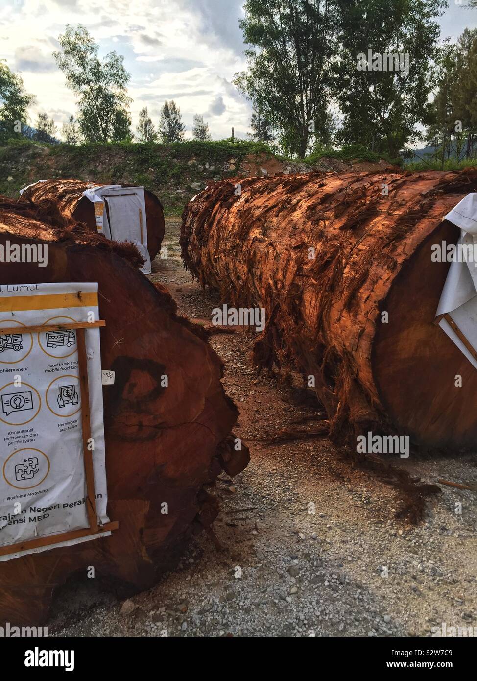 Grumes de bois dur massif, probablement pour utiliser les piles dans la construction d'une jetée, port de plaisance, l'Île, Perak, Malaisie Lumut - Image de stock capturée avec un smartphone