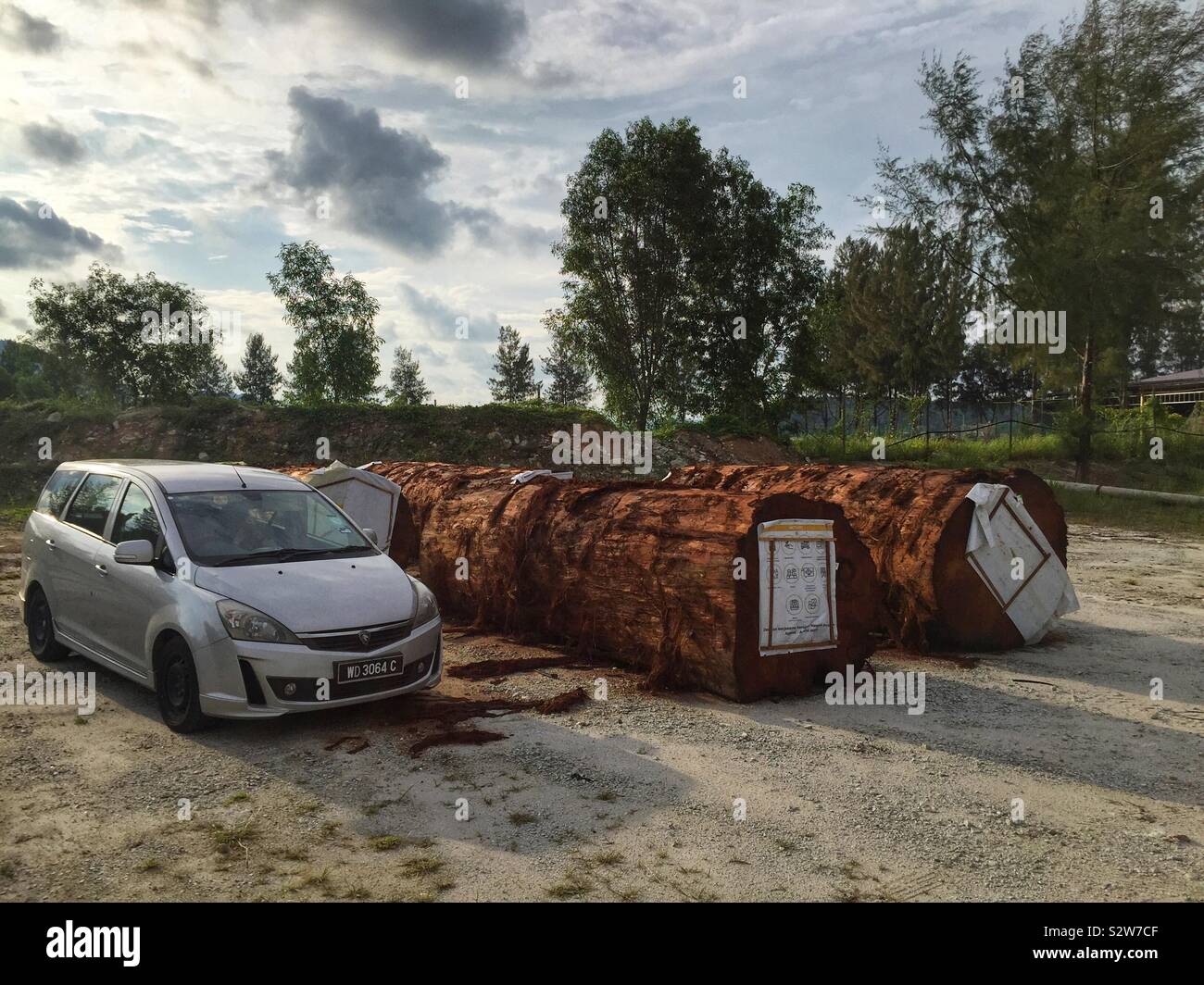 Grumes de bois dur massif, probablement pour utiliser les piles dans la construction d'une jetée, avec une voiture pour l'échelle de l'île, Marina, Perak, Malaisie, de Lumut - Image de stock capturée avec un smartphone