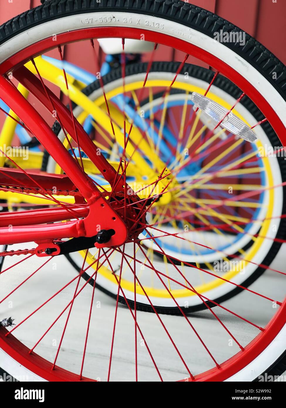 Nouveaux vélos colorés et des pneus. Regardant à travers les jantes des roues. Banque D'Images