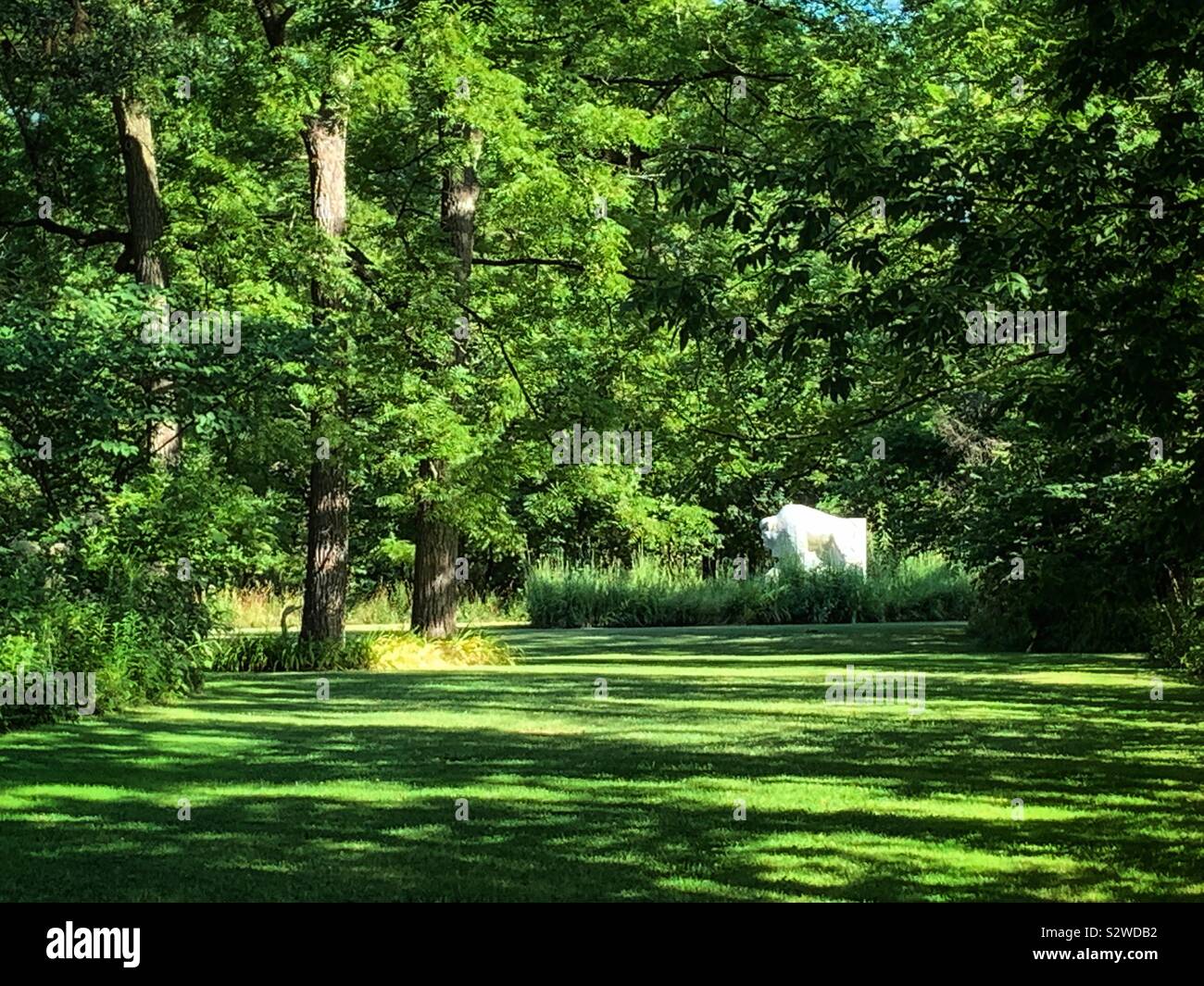Belle forêt plein de verdure et d'une statue blanche, d'un bison. Banque D'Images