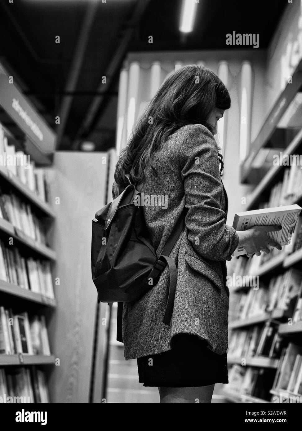Woman Reading a book Banque D'Images