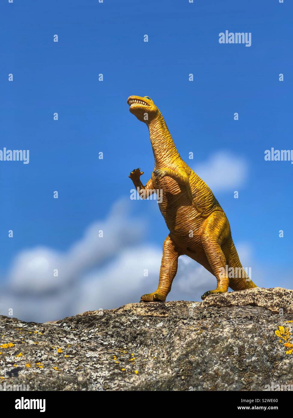 T-Rex debout sur un rocher Banque D'Images