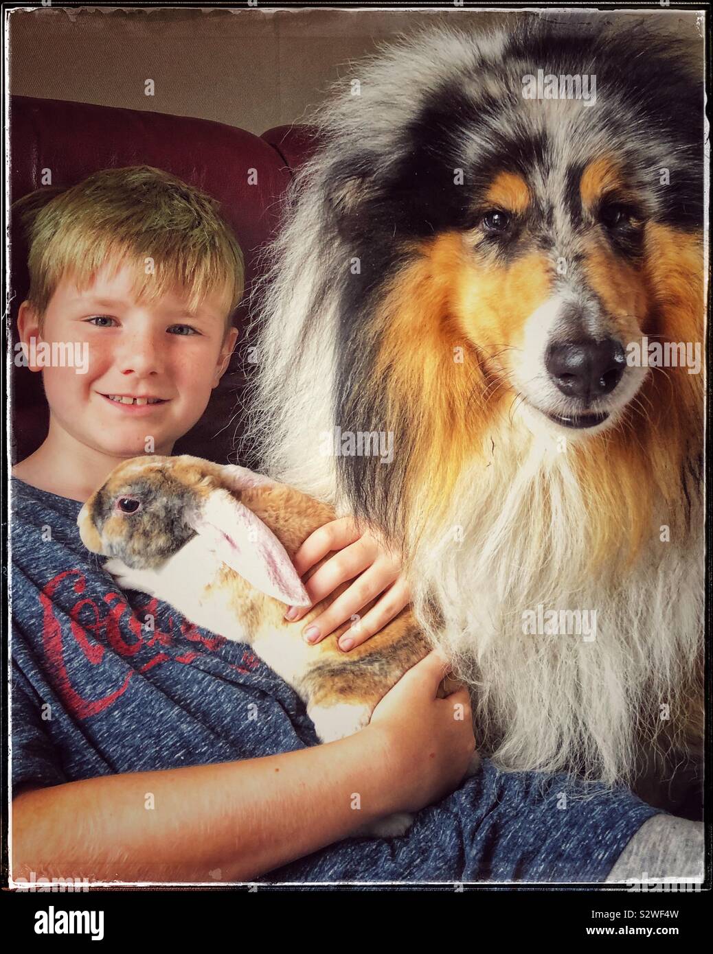 Garçon avec son chien et lapin Banque D'Images