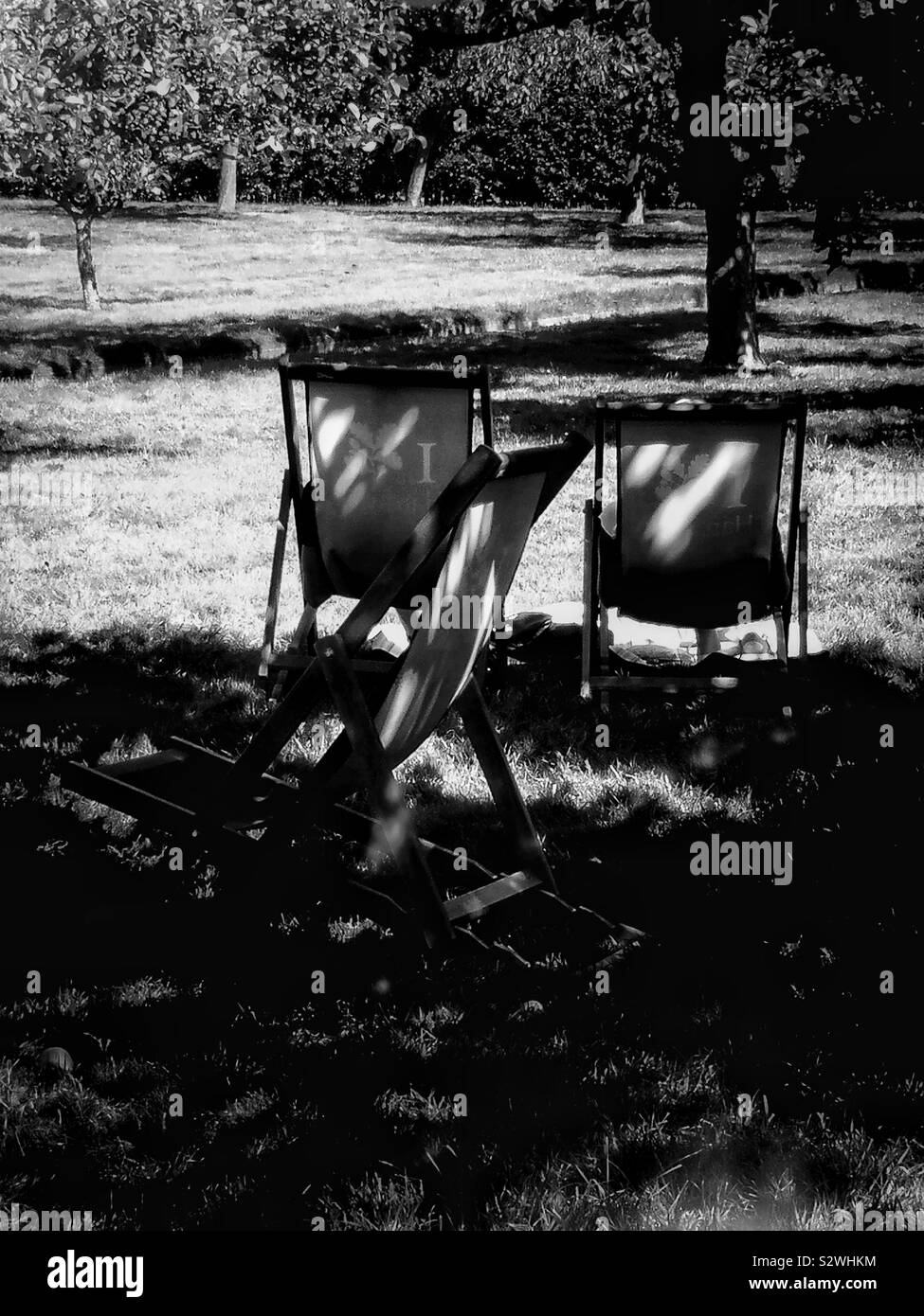 Chaises de pont dans l'ombre sous les arbres dans un verger - Image de stock capturée avec un smartphone