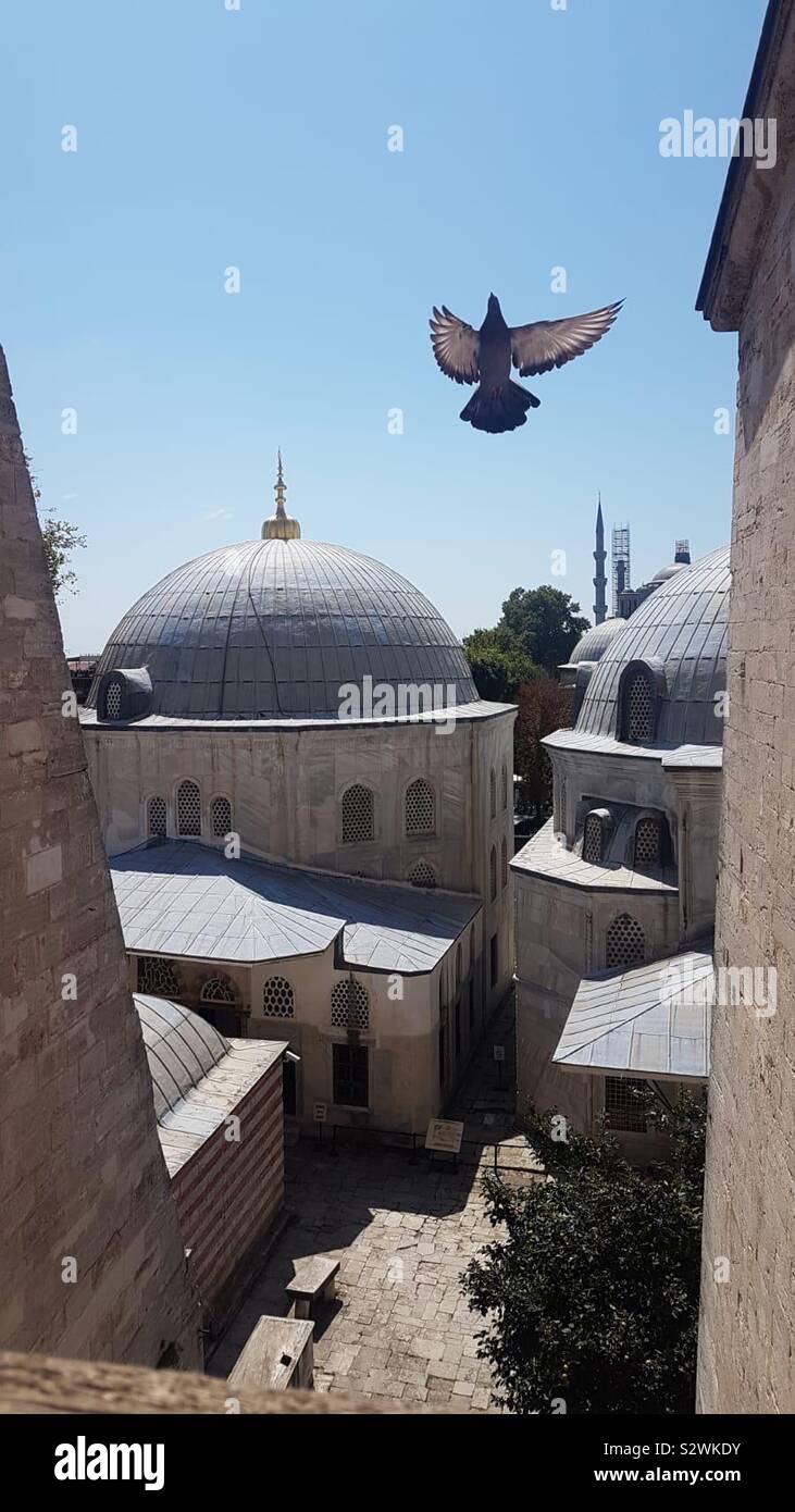 Photo au travers d'une fenêtre ouverte de la partie d'une mosquée avec un pigeon vole dans l'air - Image de stock capturée avec un smartphone