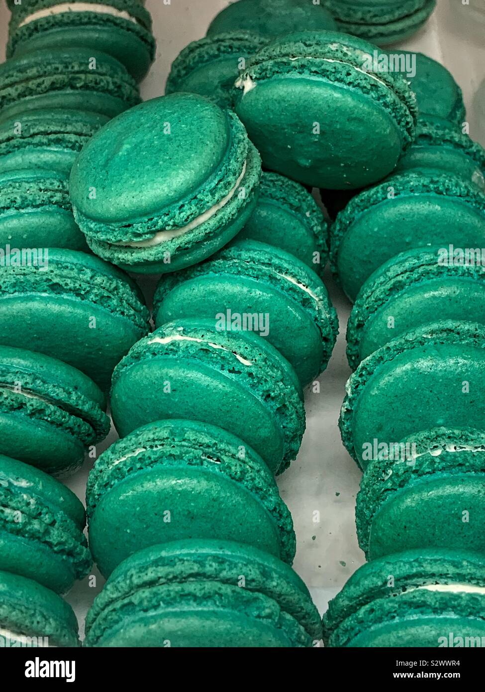 Bleu vert délicieux sandwich macarons cookies. Banque D'Images