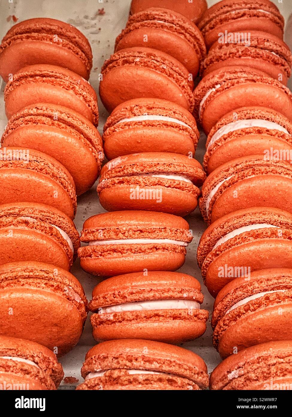 Délicieux macarons frais savoureux biscuits sandwich. Banque D'Images