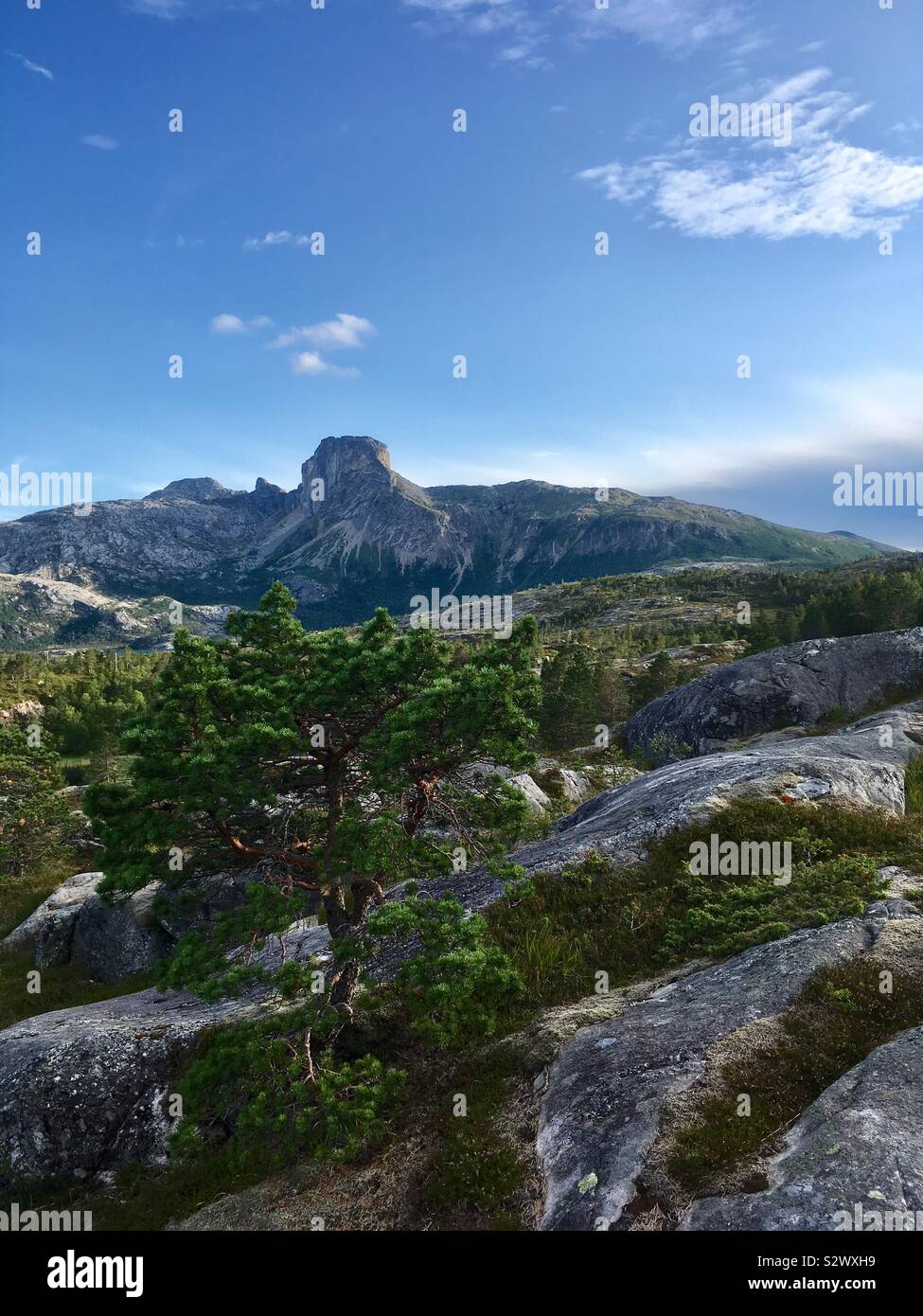 Paysage de montagne sur la route de Kjerringøy Banque D'Images