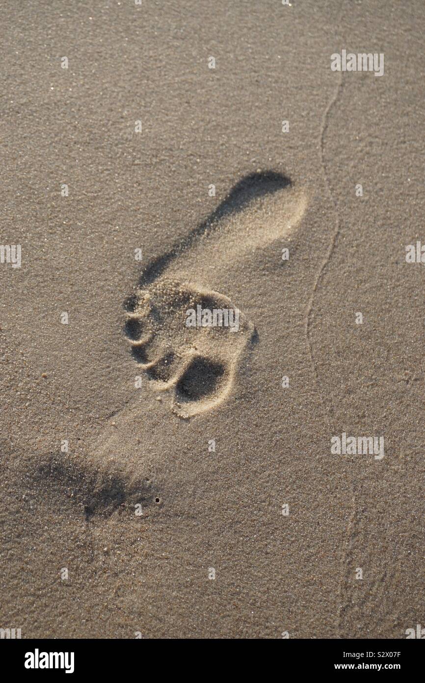 L'empreinte humaine parfaite sur la plage de sable Banque D'Images