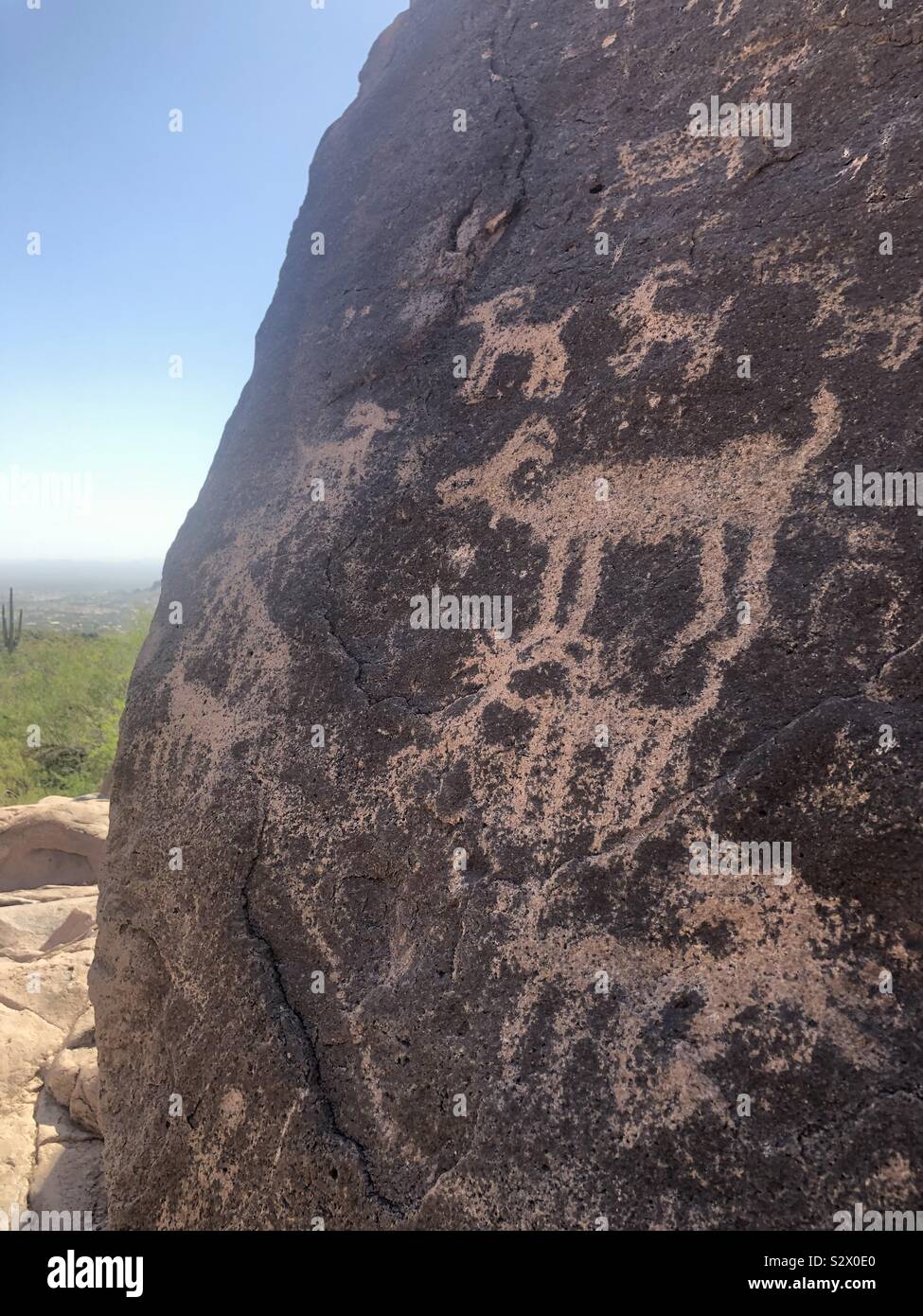 Les pétroglyphes de la chèvre de montagne- Superstition Mountains Arizona Banque D'Images