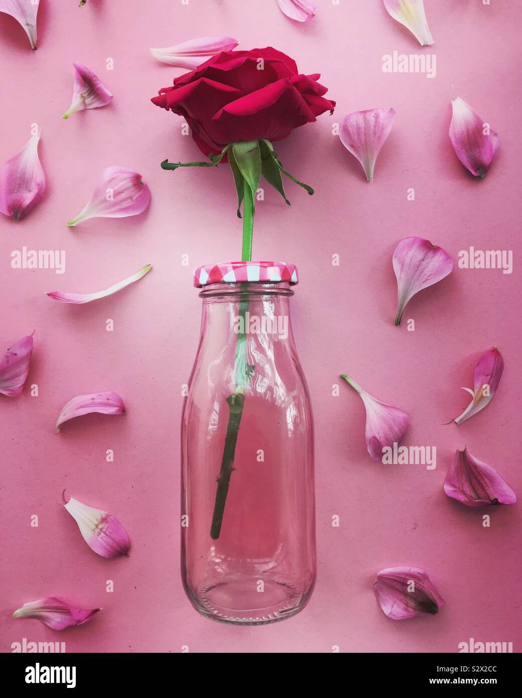 Rose dans une bouteille de verre entouré de pétales Banque D'Images