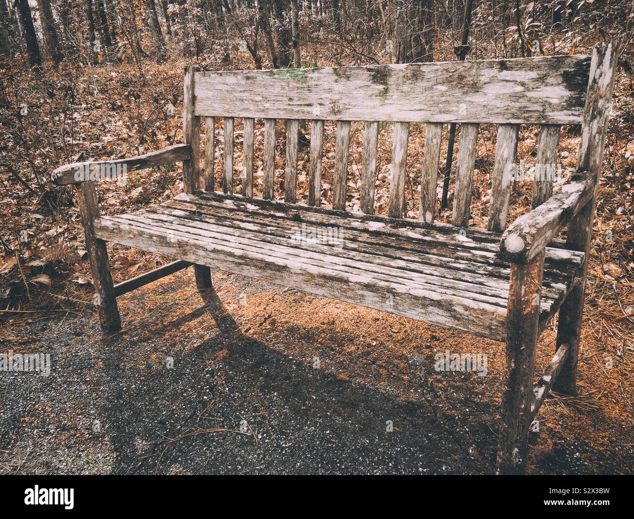 Banc en bois patiné à l'extérieur dans un jardin boisé. Banque D'Images