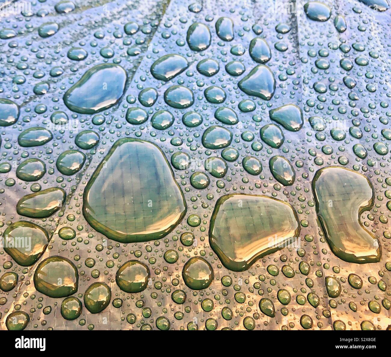 Globules de pluie sur une surface en plastique après une tempête Banque D'Images