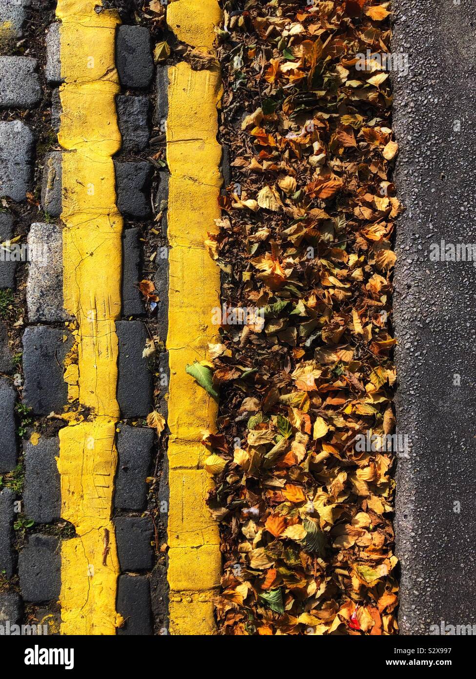 Double yellow lines et litière de feuilles d'automne - Image de stock capturée avec un smartphone