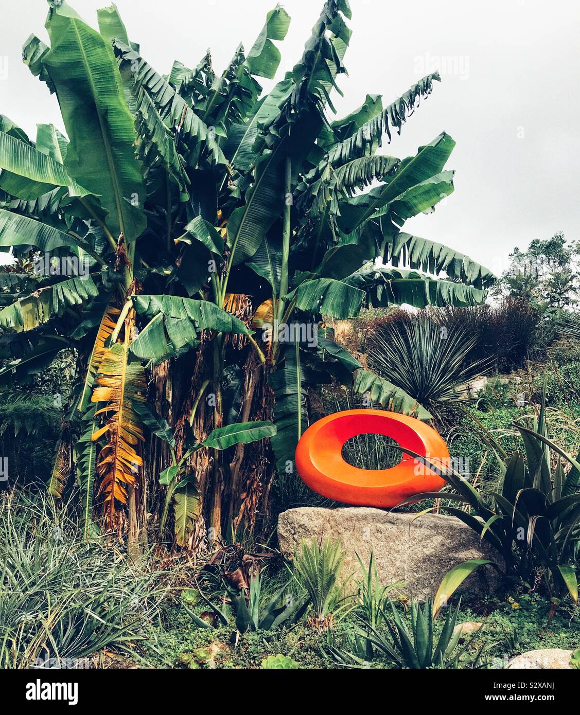 Sculpture par Tom Leaper intitulé Agent Orange à Tremenheere Jardins de Sculptures - Cornwall UK - Image de stock capturée avec un smartphone
