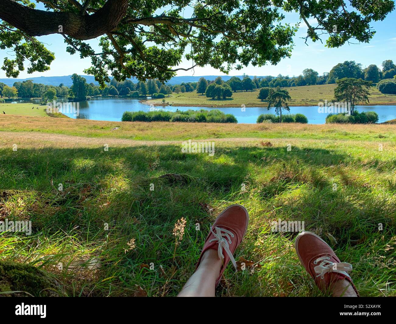 Les jambes et les chaussures d'une personne en face d'un superbe paysage rural Banque D'Images
