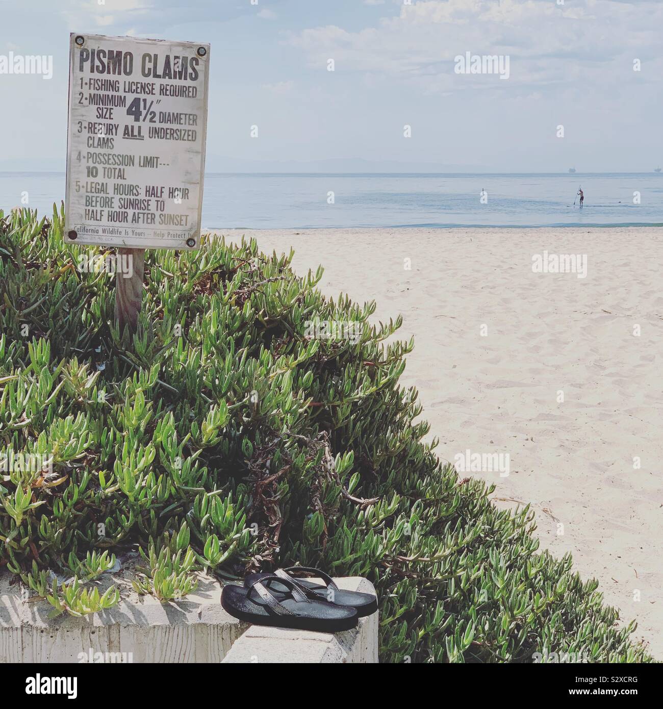 Tongs reste près d'un signe sur la pêche de palourdes Pismo. Une personne est vu debout dans l'eau au loin. Carpinteria State Beach, Oakland, California, United States Banque D'Images