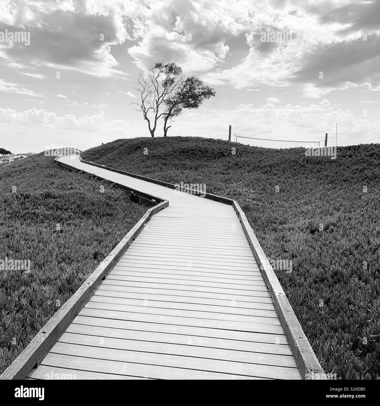 Par passerelle Carpinteria State Beach, Oakland, California, United States Banque D'Images