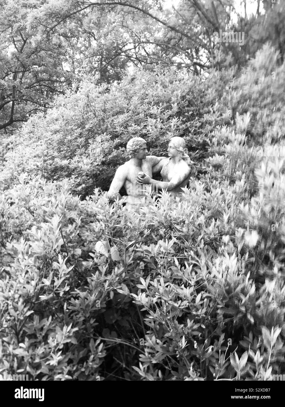 Statue au milieu d'arbustes en arboretum en noir et blanc- Adam et Eve Banque D'Images