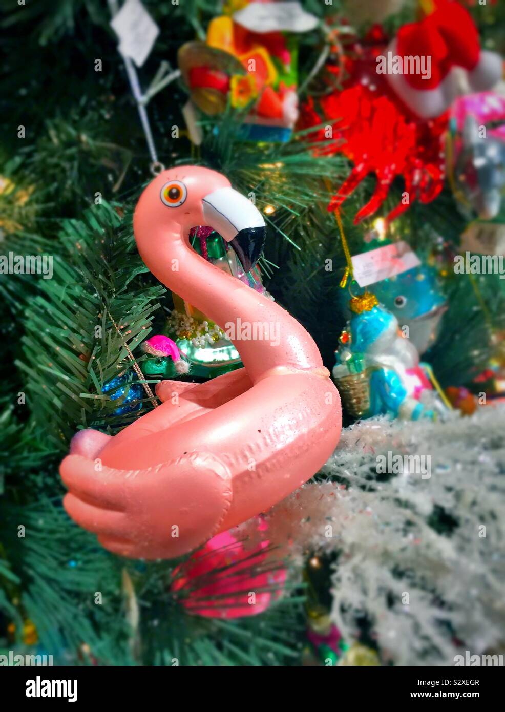 Un mignon petit flamant rose ornement de Noël sur un arbre de Noël, USA - Image de stock capturée avec un smartphone