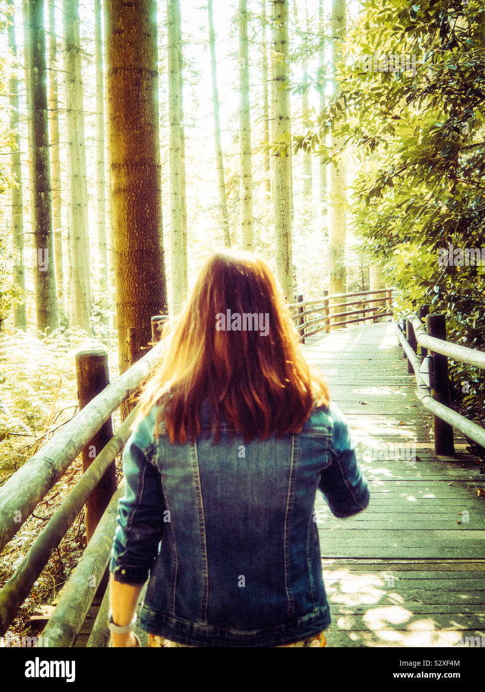 Femme marche le long d'un pont en bois dans la forêt Banque D'Images