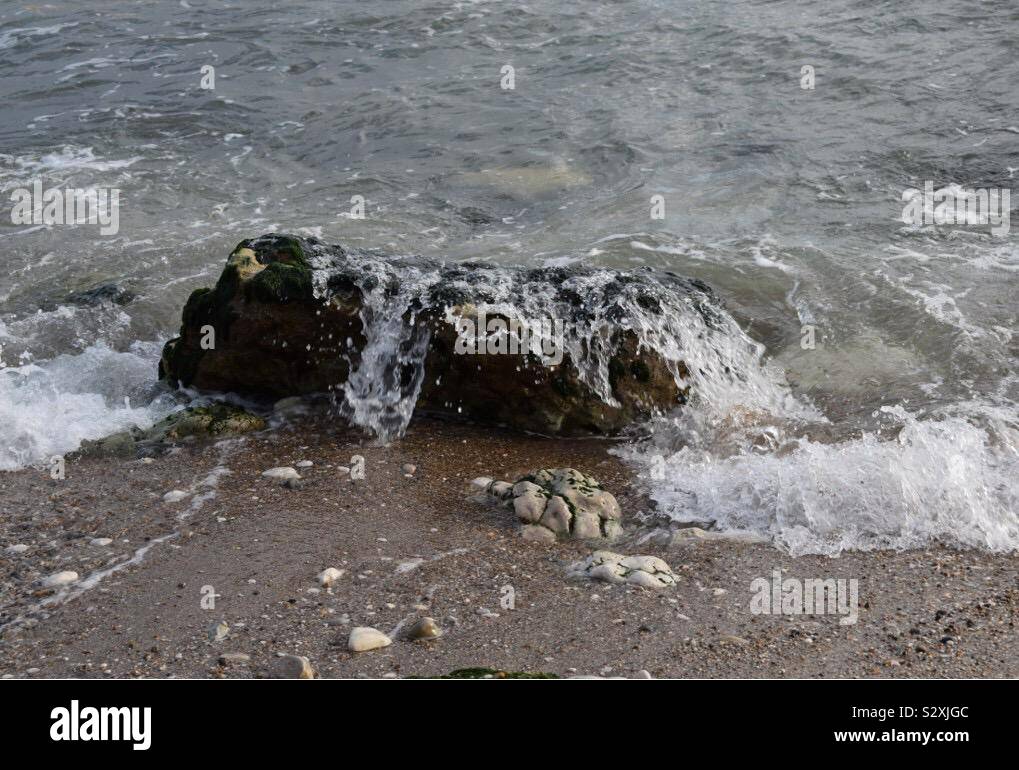 Driftwood beach Sea waves dorset Banque D'Images