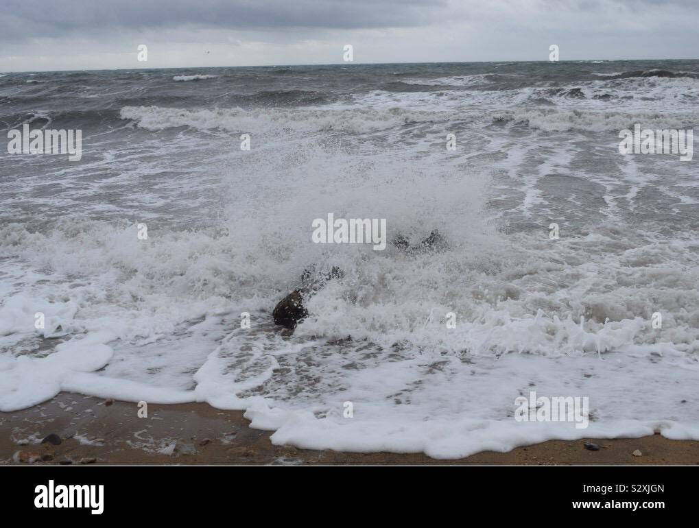 Les vagues de la mer bois flotté Banque D'Images