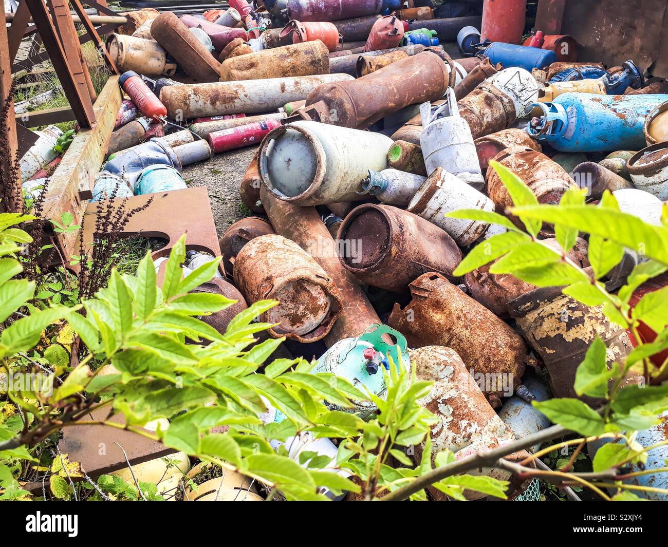 Vieux, les bouteilles de gaz rouillées sur casse derrière l'arbre. Banque D'Images