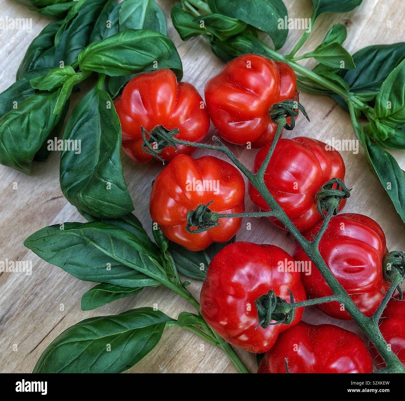 Heirloom Tomatoes, miniature Banque D'Images