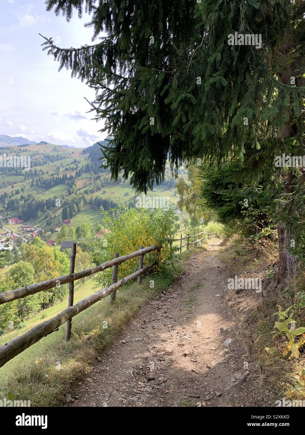 Route de montagne, région de Transylvanie, Roumanie Banque D'Images