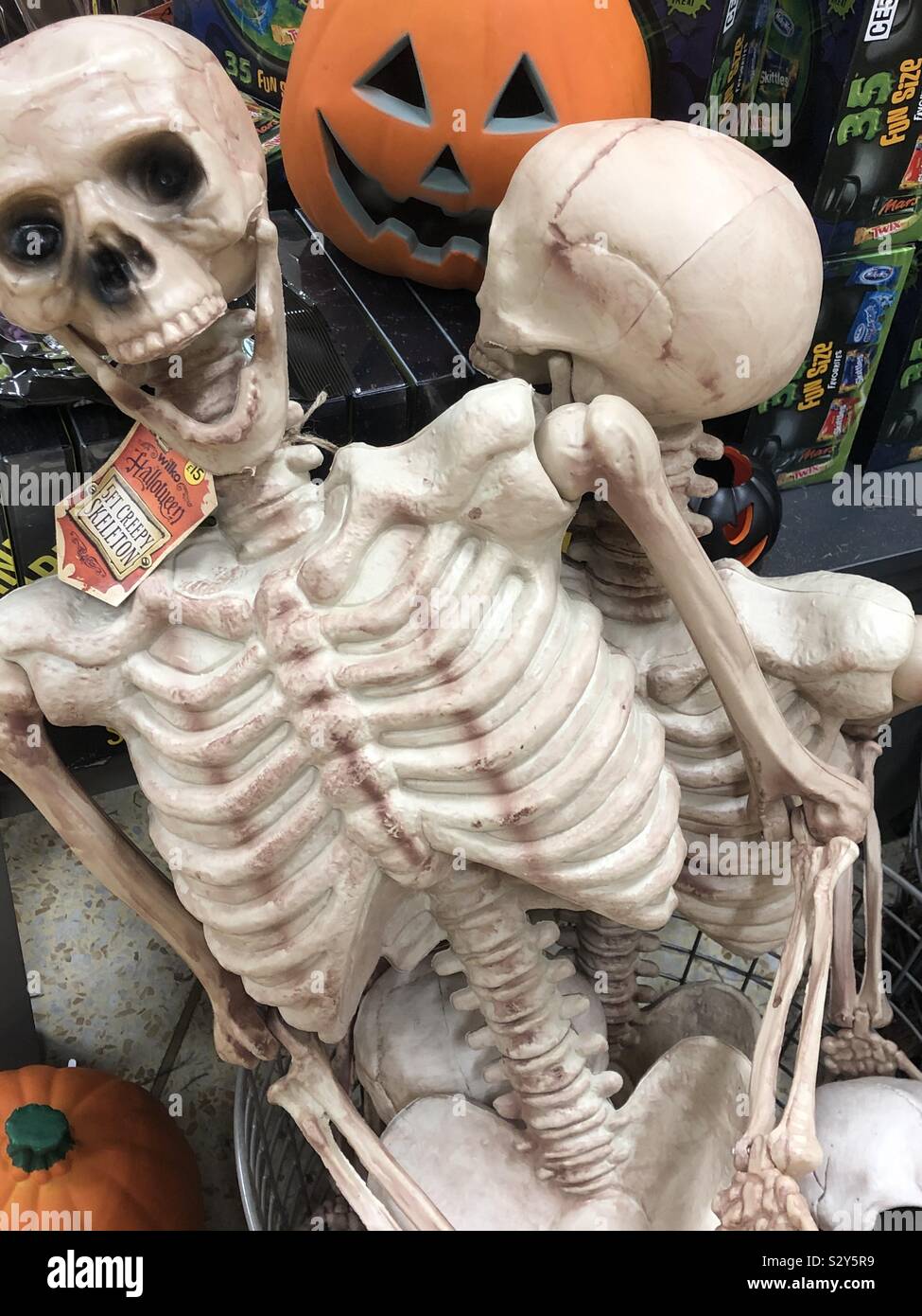 Squelettes Halloween Banque D'Images