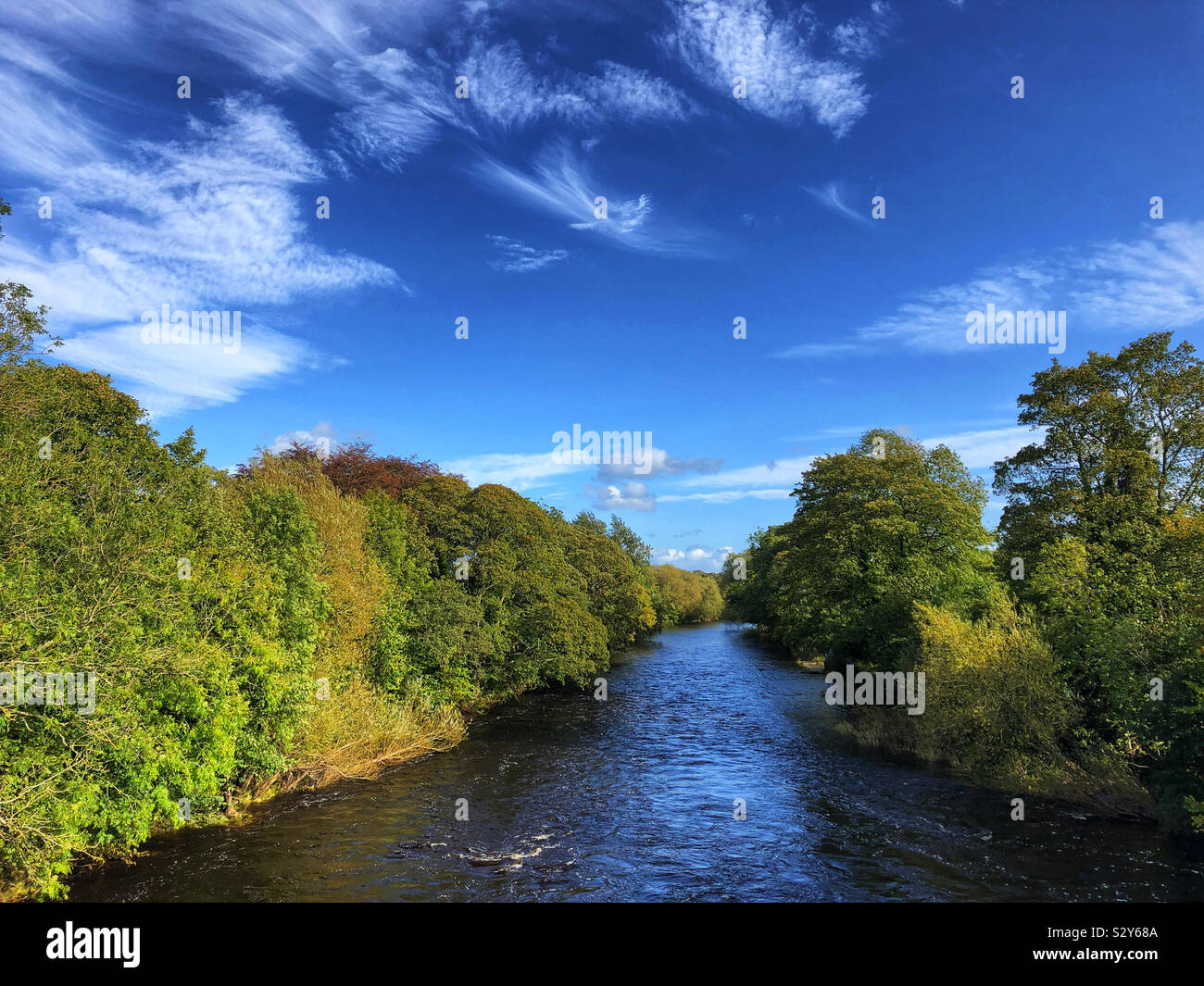 River Wharfe sur une journée ensoleillée d'automne dans la région de Bradford West Yorkshire Banque D'Images