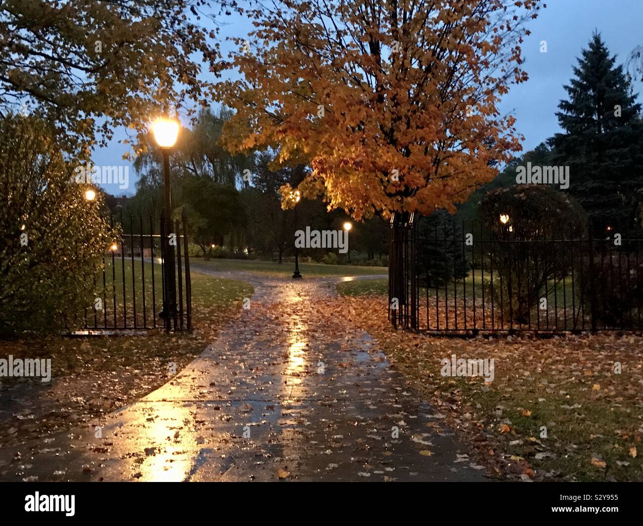 Réflexions Pluie Saratoga Springs Banque D'Images