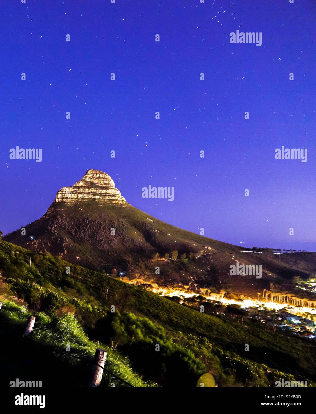 Tête de lion de montagne Table Mountain Road, Cape Town. Banque D'Images