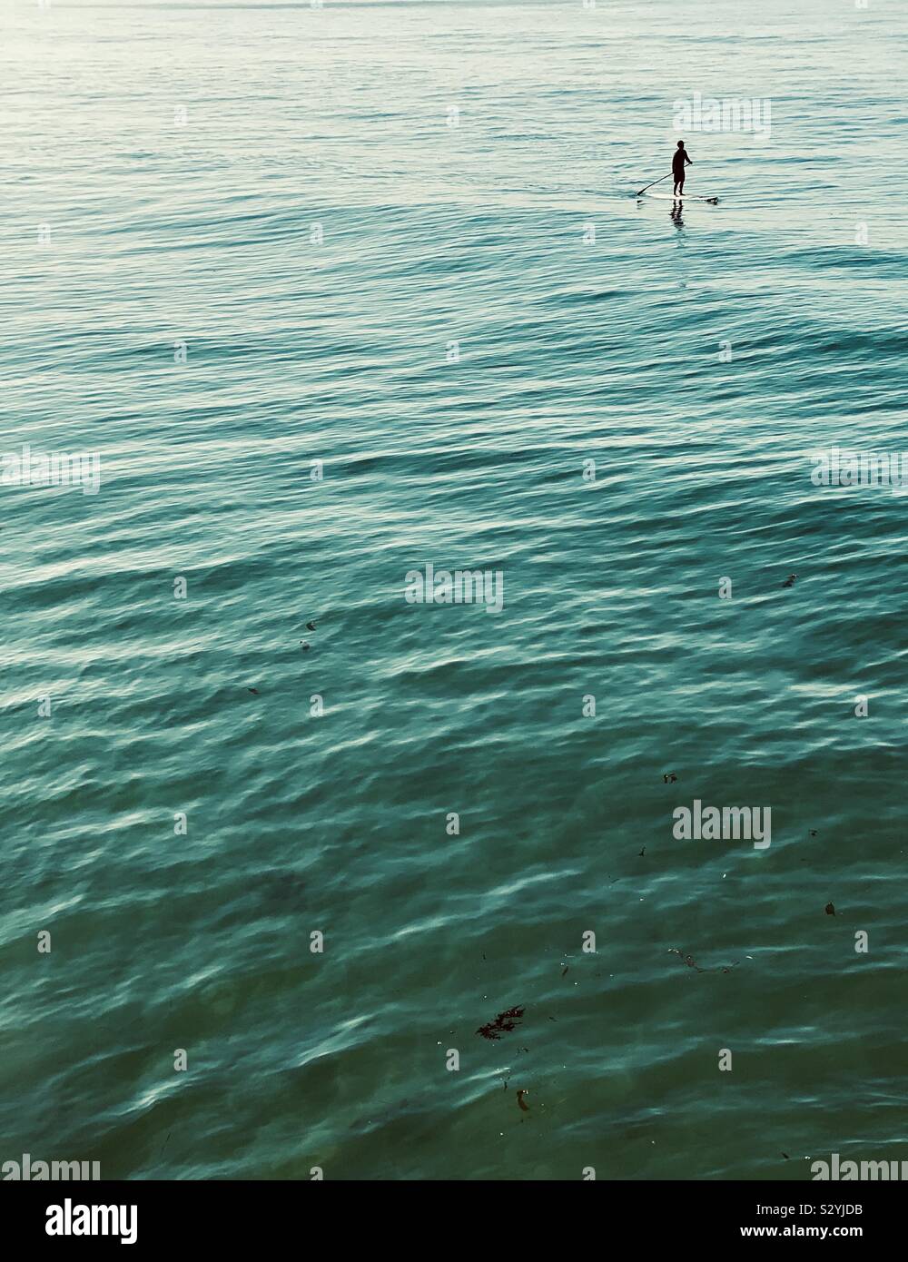 Un homme seul pagaie paddle boarder dans l'océan. Manhattan Beach, Californie, États-Unis. Banque D'Images