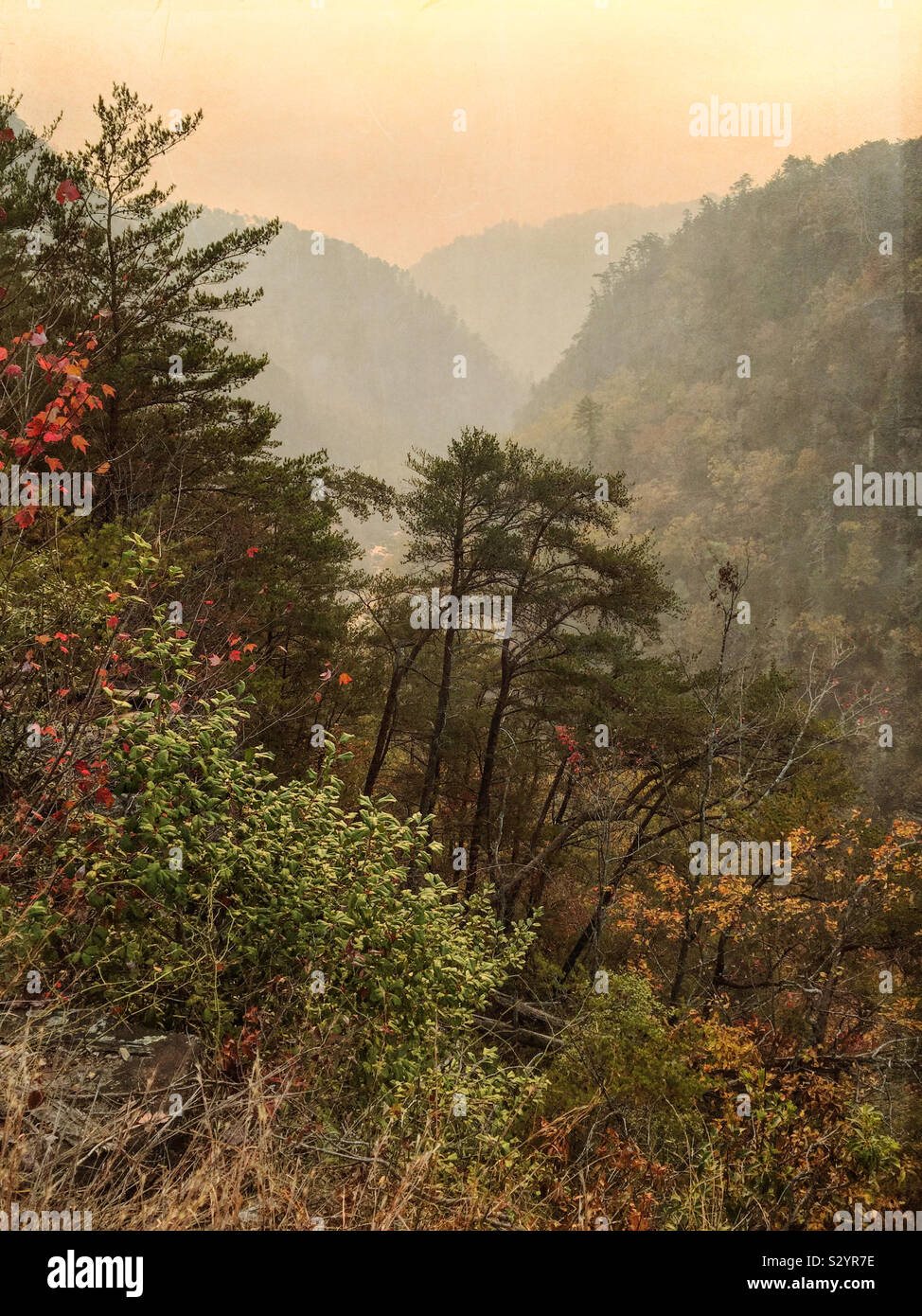 Une fumée feux à proximité mélangée avec un matin brumeux au parc national des Gorges de Tallulah en Géorgie AUX ETATS UNIS a créé une étrange couleur dominante de la région. Les feuilles d'automne sont colorés. Banque D'Images