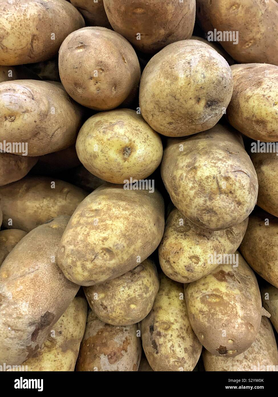 Pile de l'Idaho frais pommes de terre au four Banque D'Images