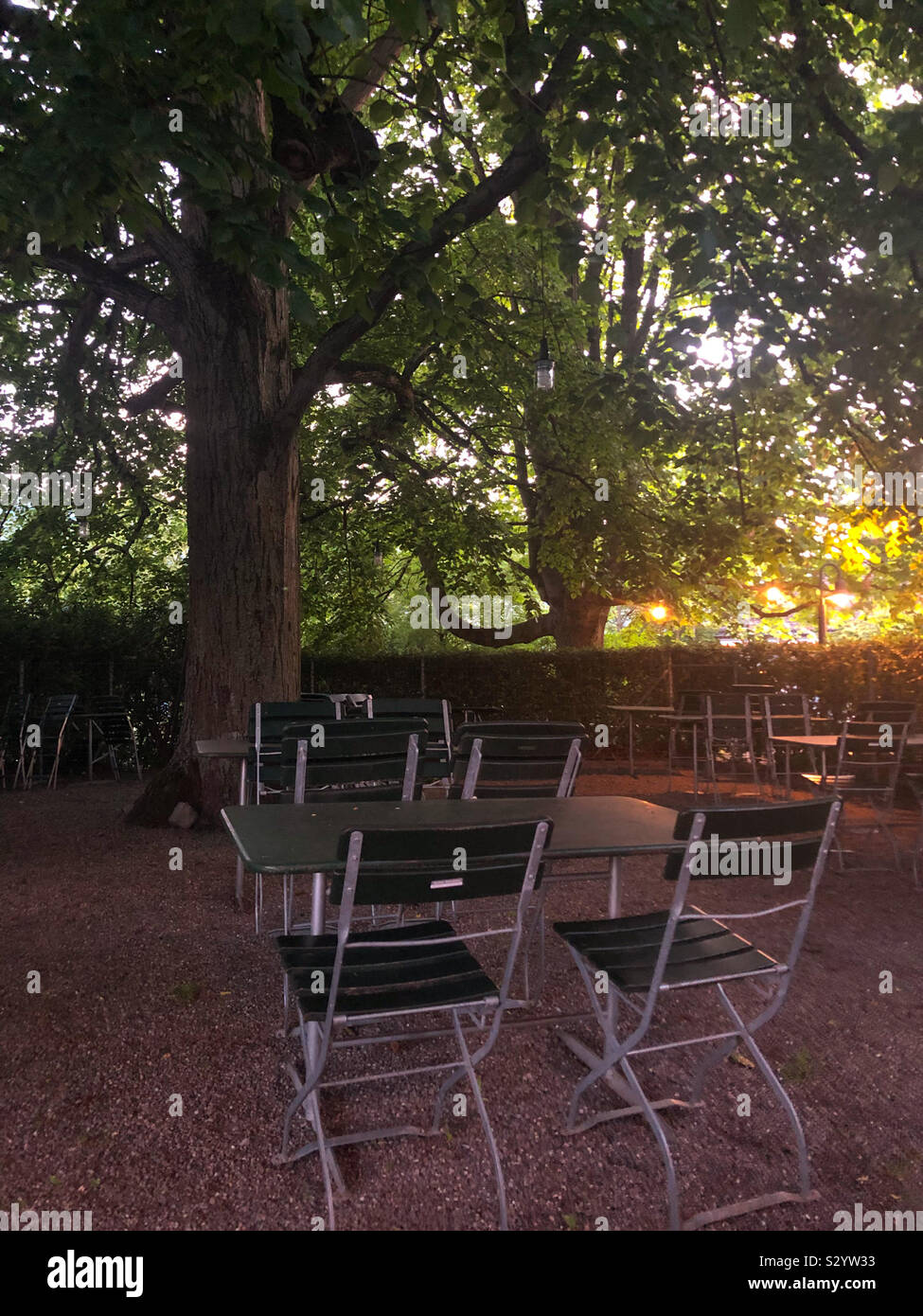 Table et chaises dans les grands arbres de l'UEDN coucher du soleil Banque D'Images