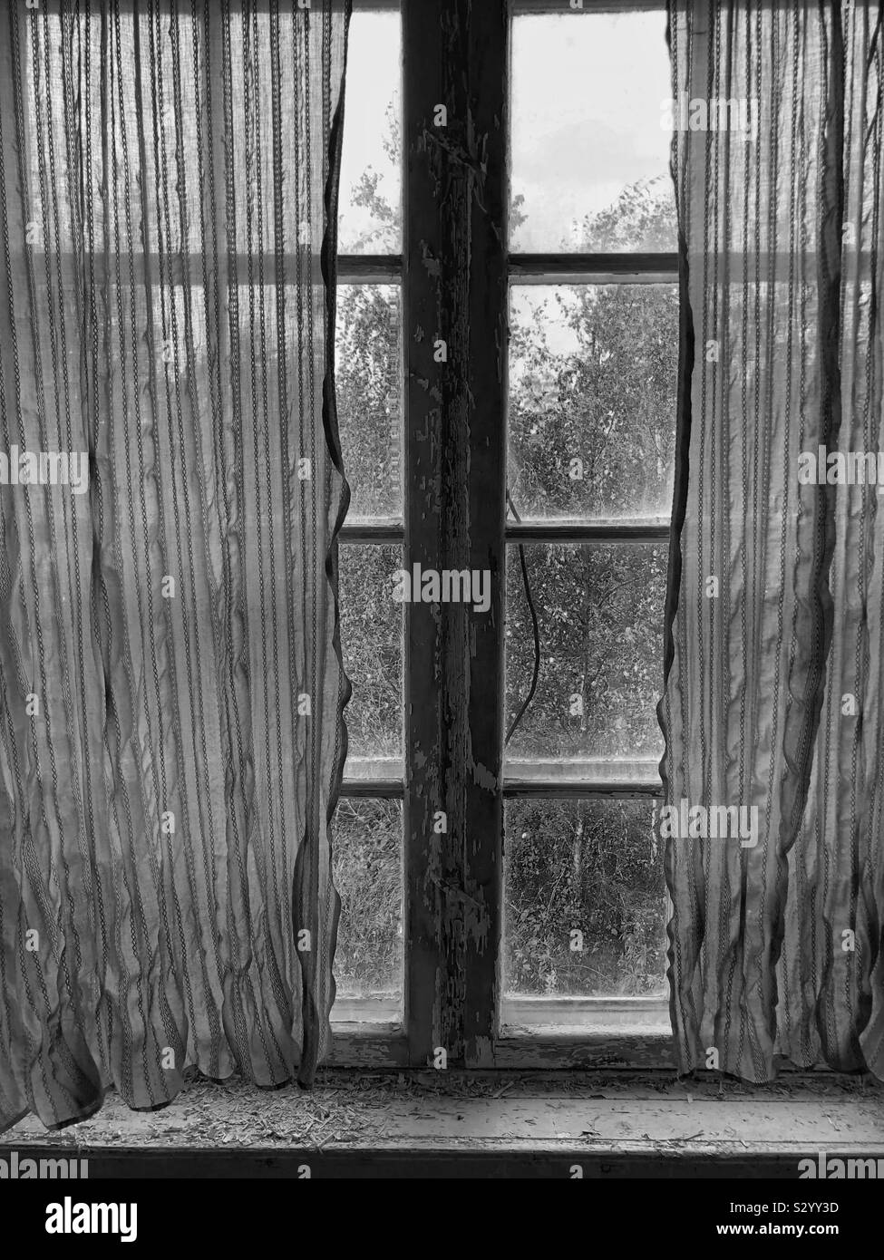 Photo en noir et blanc de la fenêtre en difficulté avec la moitié des rideaux tirés dans une ferme abandonnée en vue de l'envahi le jardin. - Image de stock capturée avec un smartphone