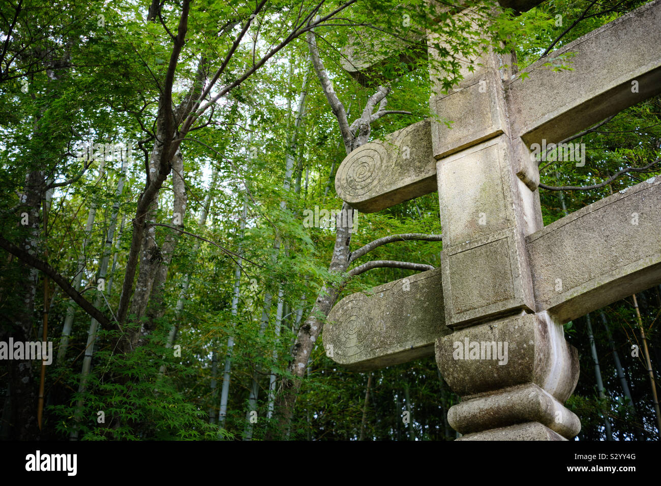 Torii japonais en pierre sur un fond vert d'arbres en été Banque D'Images