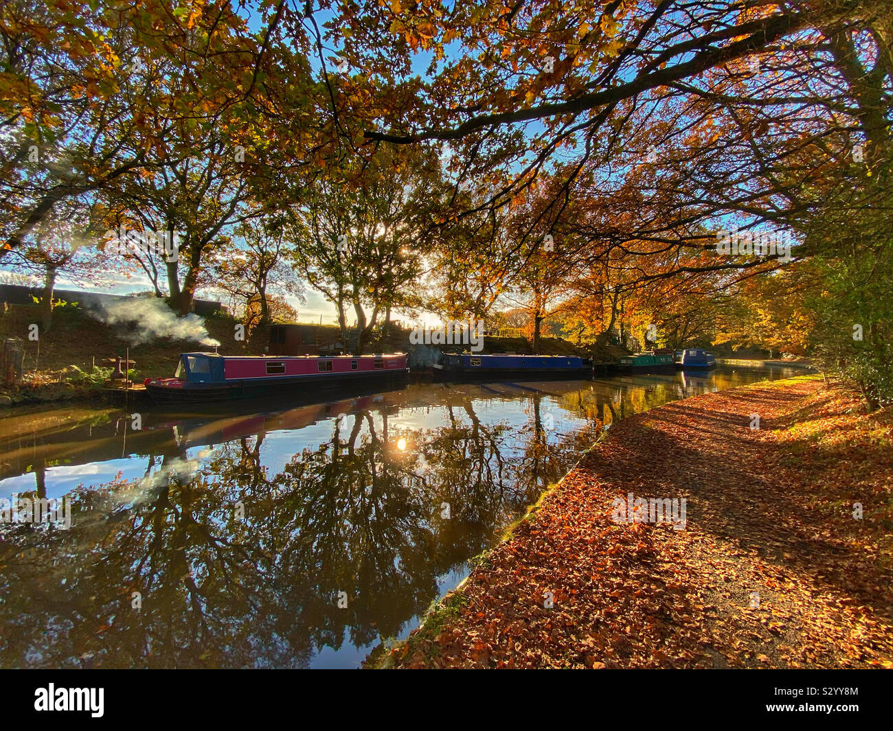 Feuilles d'automne sur le canal à Leeds et Liverpool Adlington dans le Lancashire Banque D'Images
