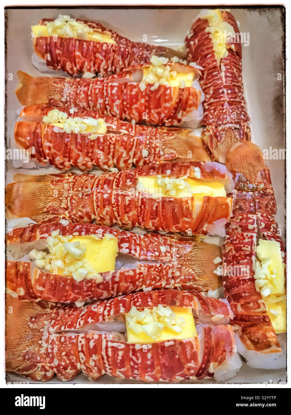 Queues de homard préparé pour four avec beurre à l'ail. Banque D'Images