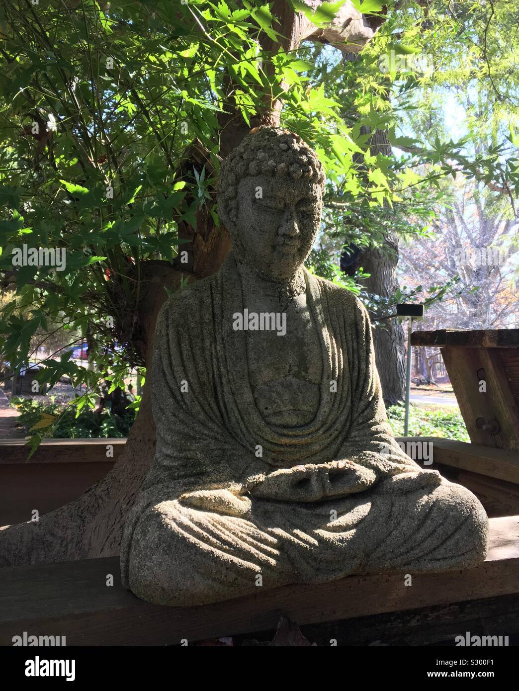 Statue de Bouddha sous un arbre Banque D'Images