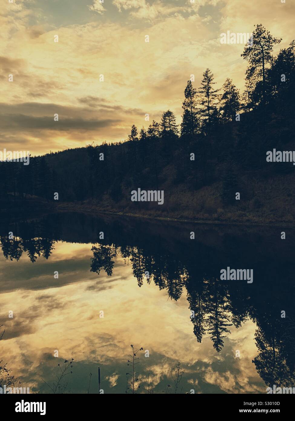 Lac en forêt, arbres et colline en raison de la fin de l'après-midi ciel d'hiver. - Image de stock capturée avec un smartphone