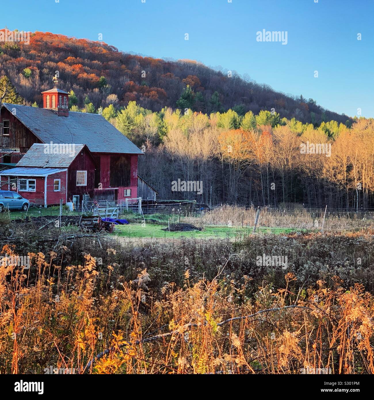 L'automne vue d'une ferme à Colrain, Massachusetts, United States Banque D'Images