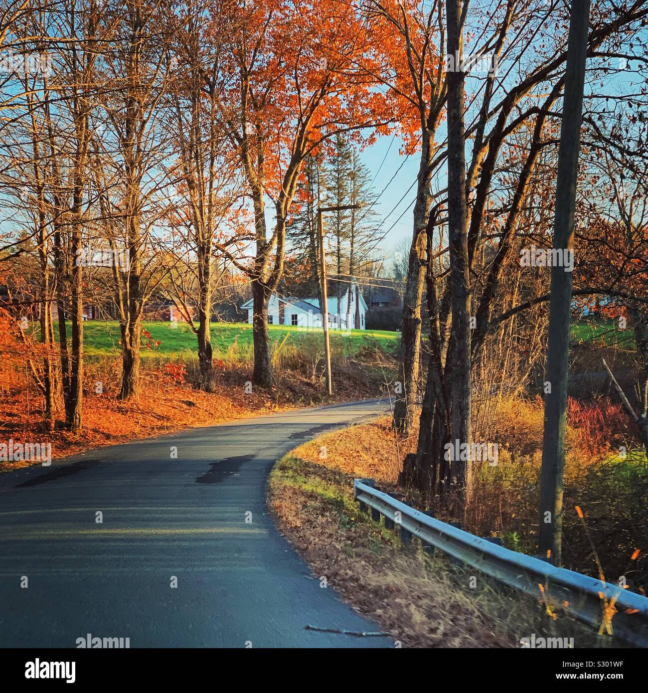 Une route de campagne en automne, New England, United States Banque D'Images